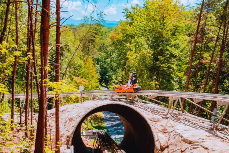 Top 4 Mountain Coasters in Gatlinburg and Pigeon Forge